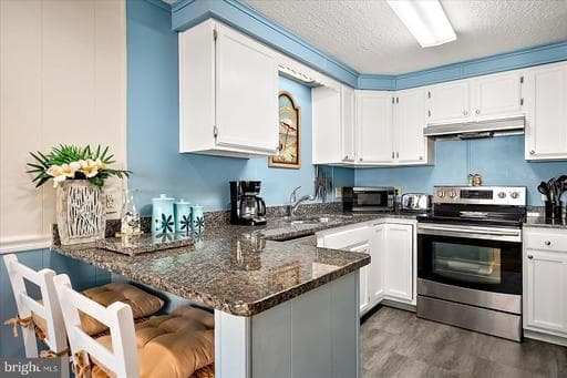 9 46TH ST #22, OCEAN CITY, MD, 21842, WORCESTER