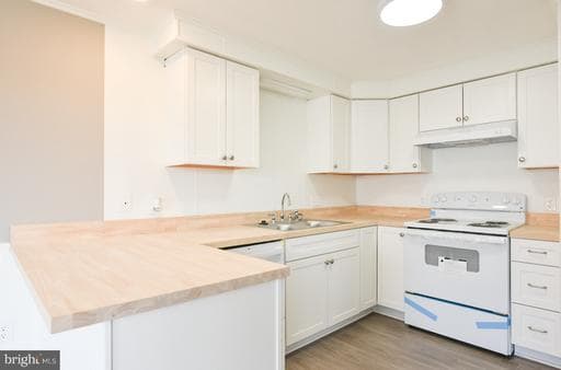 12102 ASSAWOMAN DR #310B, OCEAN CITY, MD, 21842