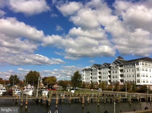 700 CATTAIL CV #104, CAMBRIDGE, MD, 21613