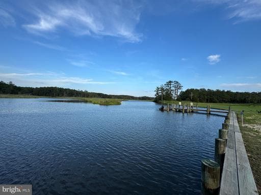 2707 CLARA RD, TYASKIN, MD, 21865, WICOMICO