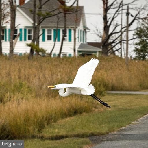 1606 STEAMBOAT WHARF RD, FISHING CREEK, MD, 21634
