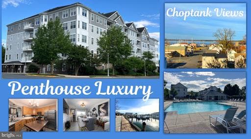 700 CATTAIL CV #412, CAMBRIDGE, MD, 21613, DORCHESTER