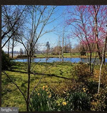 28221 WIDGEON TER, EASTON, MD, 21601