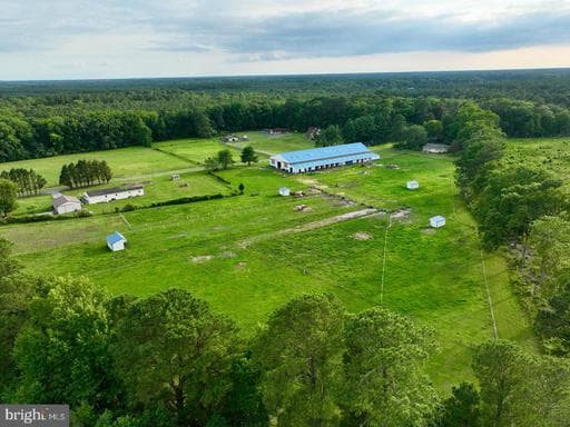 31244 DOG HOUSE DR, SALISBURY, MD, 21804, WICOMICO